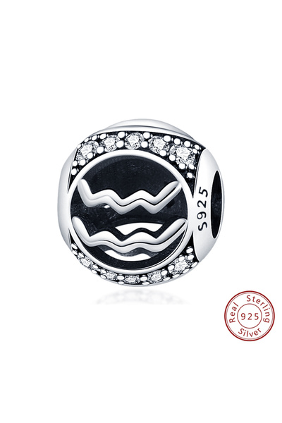 choice2 Aquarius Original Charms 925 Sterling Silver 12 Ctellation Round Char...