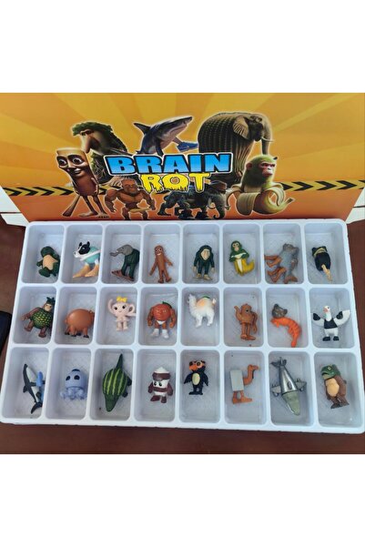 Choice 3.5-5.5 سنتيمتر 24 قطعة مع صندوق الإيطالي برينروت تونغ تونغ ساهور صندو...