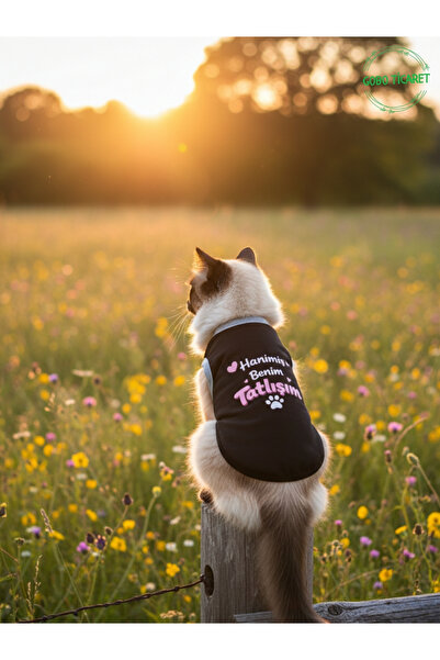 Gobo تي شيرت أسود مطبوع عليه عبارة "Hanimiş Benim Tatlışım" للقطط والكلاب، مق...