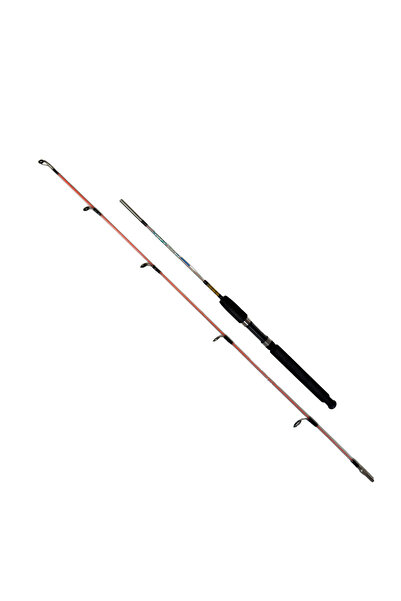 Fish Pro FishPro Echo 180cm 100-250gr Tekne Kamışı