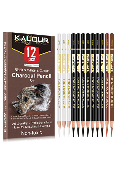 Choice1 12 pcs Mix Colors 12/20/25/54/70 pcs Drawing Sketching Coloring Set D...