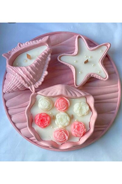 Yaratıcı sanatlar atölyesi 3'lü Deniz Kabuğu İçinde Okyanus Temalı Kokulu Aro...