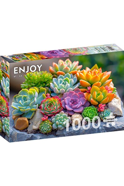 Enjoy 1000 Pieces Jigsaw Puzzle - Succulents