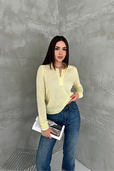 Noi Belis Polo Collar Perforated Half Placket Buttoned Knitwear Blouse Ss26Bz...