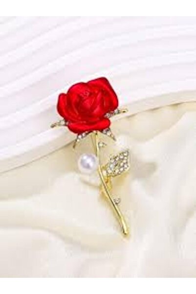 Broches Broșă mată elegantă cu pietre