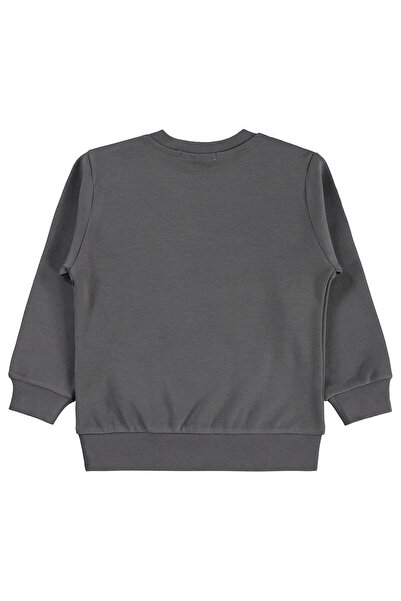 Civil Boys Hanorac cu imprimeu Trex Club pentru copii de 2-5 ani Km - Gri 2-3...