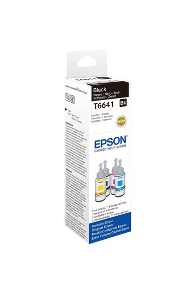 EPSON Ink Cartridge T 6641 Black