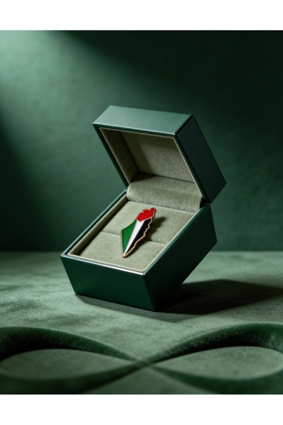 Zaytoon Χάρτης της Παλαιστίνης με σημαία, πολύχρωμο διακοσμητικό στο πίσω μέρ...