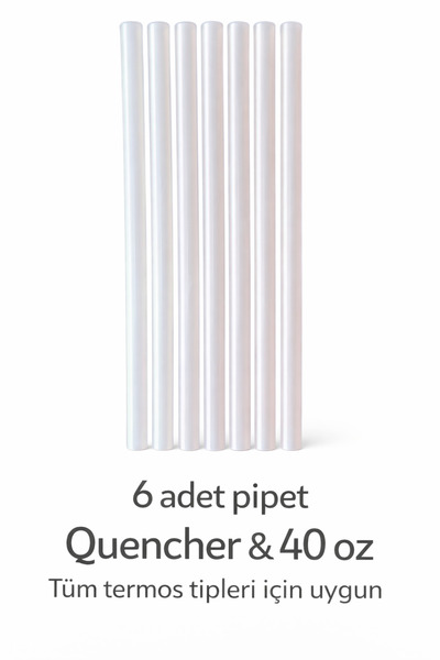 Julietta 6 Adet 30 cm Stanly Quencher Uyumlu TRİTAN Pipet