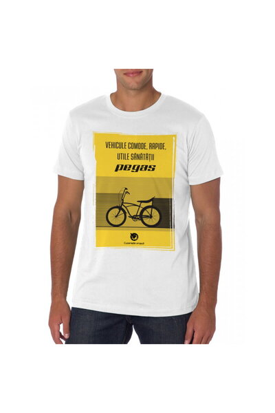 Pegas Men's T-Shirt Vehicles XL Brown