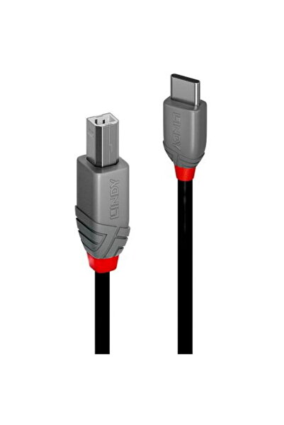 LİNDY Cablu USB 2.0 tip A la tip B de 1 m