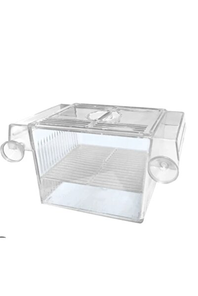 derlifbeysu yld صغار أسماك الزينة، صغار أسماك الليبيست الفردية، صغار أسماك مو...