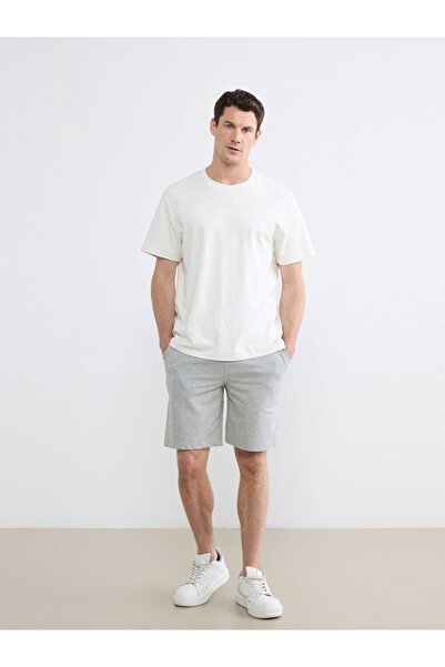 LC Waikiki Standard Fit Men's Shorts