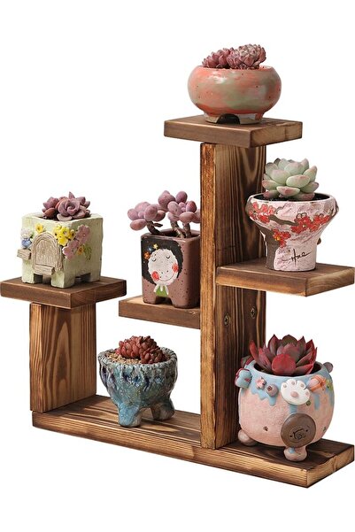 Ev dekka Ahşap Sukulent ve Çiçek Standı - 5 Bölmeli Dekoratif Masaüstü Saksı ...