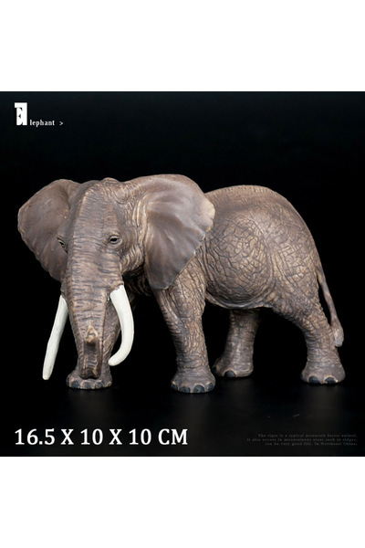 Choice5 مجسمات حيوانات برية بدون صندوق، تشمل الفيل والأسد والزرافة والدب البن...