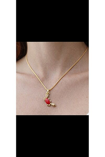 lavante butik kendini özel hisset Steel Zirlon Stone Crab Necklace