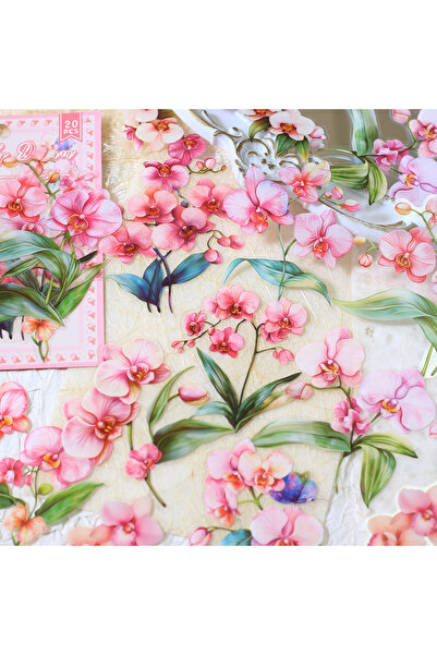 choice2 B 20pcs PET Floral Stickers Hand Account Collage PET Stickers for Scr...