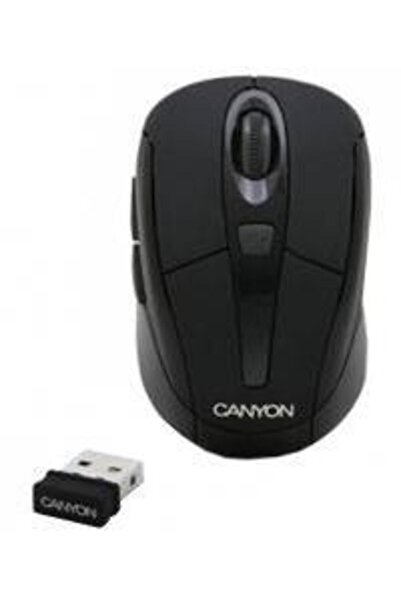 CANYON Mouse Optic wireless CNR-MSOW06B (Negru)