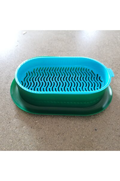 choice2 19x12.3x4.5cm G1254A bule green New Pet Cat Sprout Dish Growing Pot p...