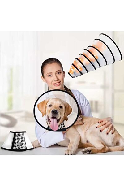 Mıncır Shop Size 2 Adjustable Pet Protective Collar