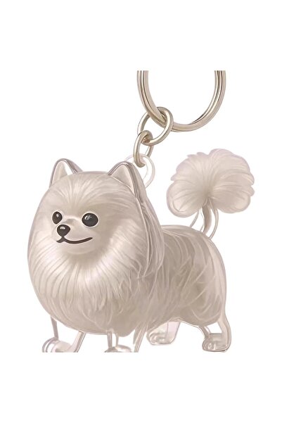 Choice18 سلسلة مفاتيح شفافة مصنوعة من شعر الحيوانات الأليفة، حامل تذكاري لطيف...