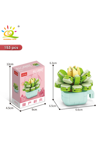 Choice97 مع الصندوق رقم 38-9، نموذج بناء نباتات عصارية مزروعة في أصيص من هويك...