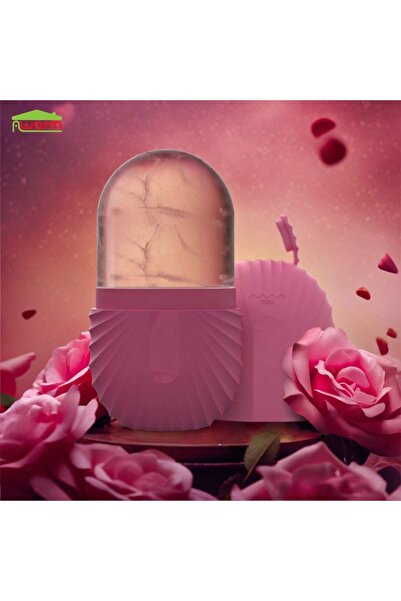 Choice10 B rose Ice Face Roller Ice Cube Beauty Massage Silicone Ice Mold For...