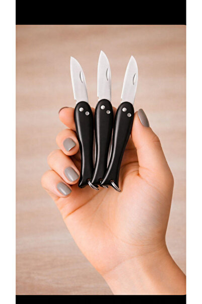 DENPRESTİJ Balık Çakı 3'lü siyah Katlanabilir Anahtarlık Çakı Bıçak