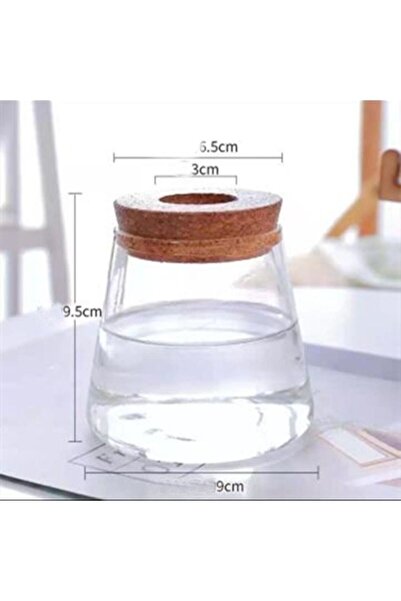 Choice7 وعاء زهور زجاجي شفاف، نبات أخضر، تصميم إبداعي، حوض زجاجي صغير، مزهرية...