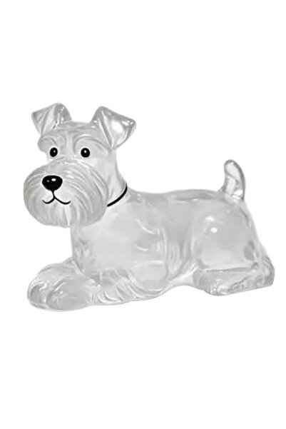 Choice I Clear Pet Hair Keychain Cute Dog Fur Keepsake Holder Creative Transp...