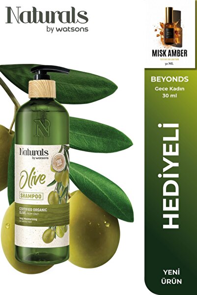 Naturals By Watsons Olive Extract Shampoo 490 ml Intensive Moisturizing Repai...