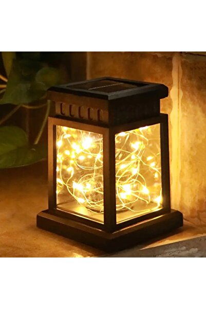 Choice1 مصباح فانوس قصر يعمل بالطاقة الشمسية، أبيض دافئ، قطعة واحدة، سلك واحد...