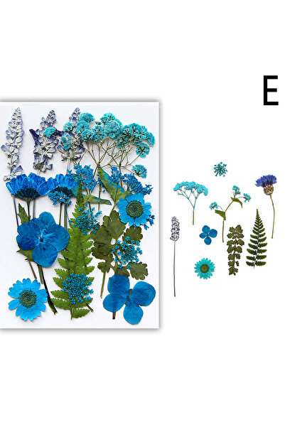 Choice14 زهور مجففة طبيعية حقيقية، زهور مضغوطة لحشو راتنج الإيبوكسي، فن الأظا...