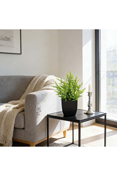 Choice3 BMSPC1 قطعة واحدة من نبات الأوكالبتوس المصغر الواقعي في أصيص أسود، نب...