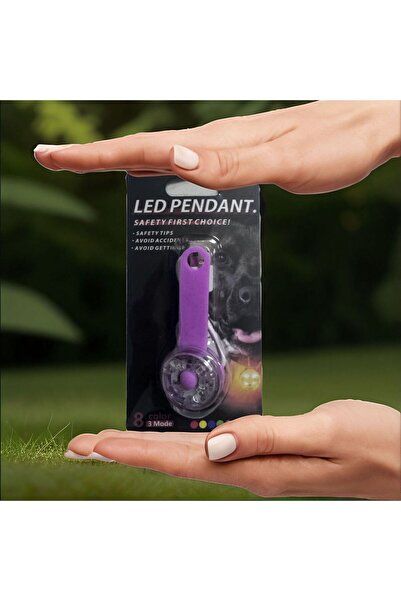 choice2 Purple LED Pet Tracking Luminous Pendant Bright Ligh Dogs Collars Dog...