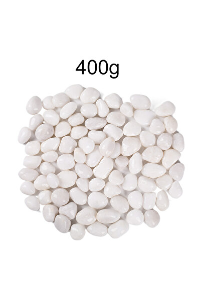 Choice3 حصى أبيض مصقول عالي الجودة، 2-3 سم، 400 غرام، 200-400 غرام، أحجار زين...