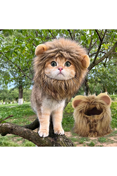 choice2 قبعة أسد لطيفة للقطط، غطاء رأس على شكل أسد، قبعة مرنة للحيوانات الألي...