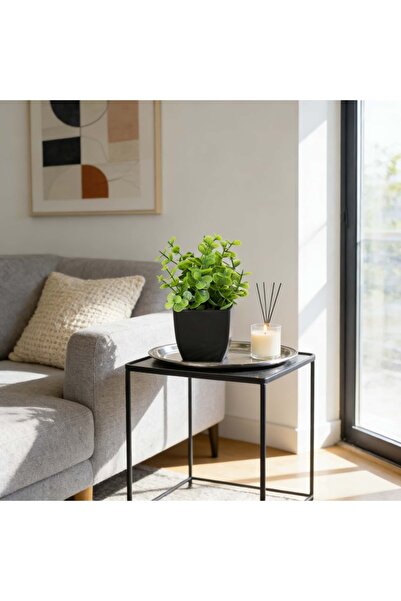 Choice BYJLPC1 قطعة واحدة من نبات الأوكالبتوس المصغر الواقعي في أصيص أسود، نب...