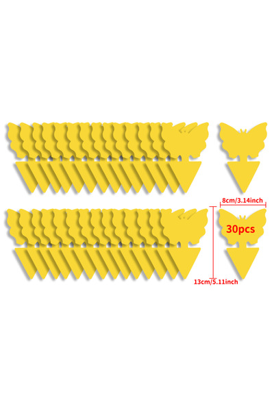 Choice3 فخاخ ذباب الفاكهة من لانديسون، 30 قطعة، فخاخ ذباب الفطر، فخاخ داخلية ...