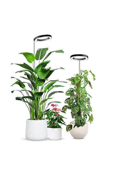 Choice مصباح نباتات LED كامل الطيف مقاس 6 بوصات بمقبس أوروبي وعمود قابل للتعد...