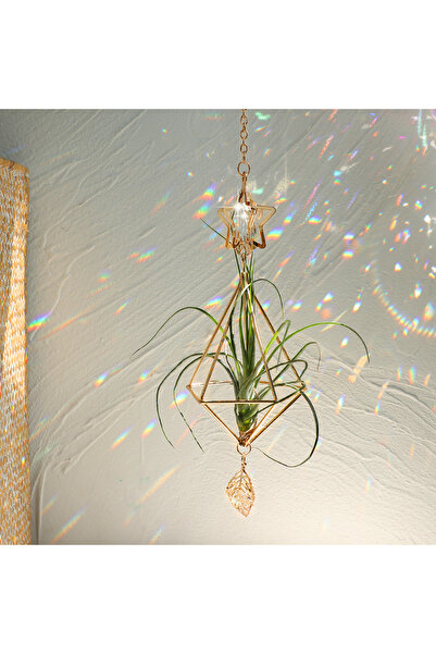 Choice1 حامل نباتات هوائية MS190 للحديقة، ذهبي اللون، معلق، حامل نباتات هوائي...