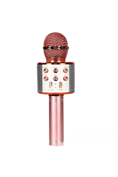 Choice DUTRIEUX Rose gold Wireless Bluetooth Karaoke Microphone,3-in-1 Portab...