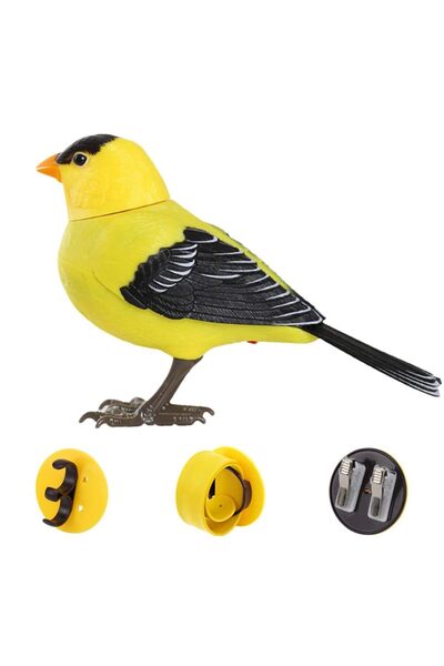 Choice طيور روبوتية من بيرد1، ألعاب طيور إلكترونية تغني وتغرد، طيور تغني تعمل...