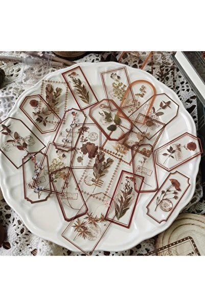 Choice5 ملصقات إطار نباتات وزهور عتيقة من جيانكي، 30 قطعة/عبوة، ديكور إبداعي ...