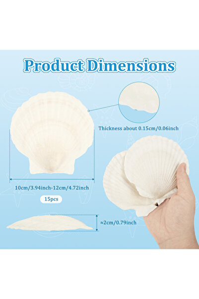 Choice ١٥ قطعة من أصداف الإسكالوب الطبيعية الكبيرة، مثالية لأعمال الخبز والحر...