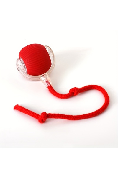 choice2 red MIAOQUANJI Self-Rolling Cat Toy Ball with LED Lights & Tail Strin...