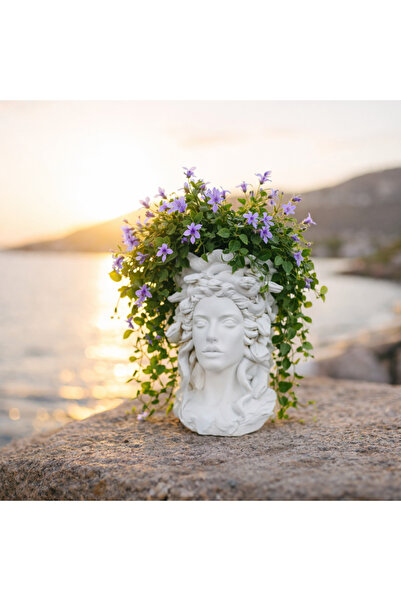 Dailyboo Creates Medusa Saksı