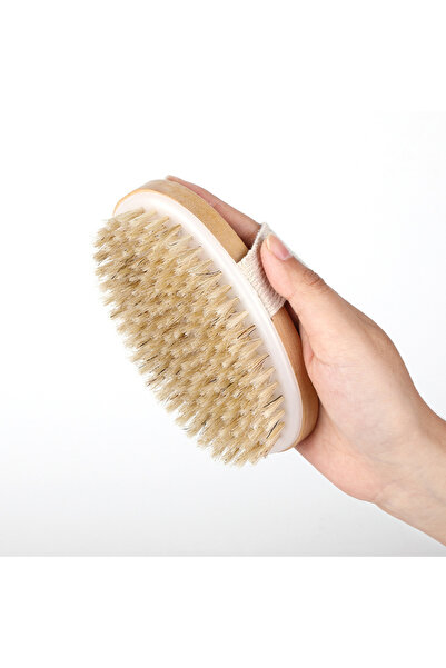 Choice فرشاة جسم 2 في 1 للبشرة الجافة بشعيرات طبيعية لإزالة الجلد الميت ومكاف...