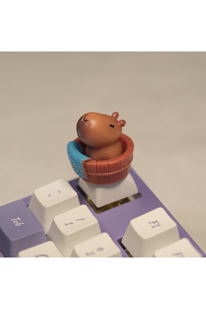 choice2 مجموعة أغطية مفاتيح لوحة مفاتيح ميكانيكية مخصصة بتصميم كابيبارا لطيف ...