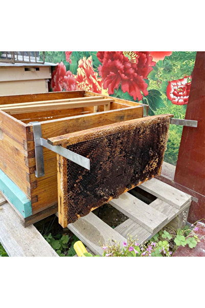 Choice زوج واحد من حامل إطار خلية النحل، حامل قرص العسل، أداة تربية النحل من ...